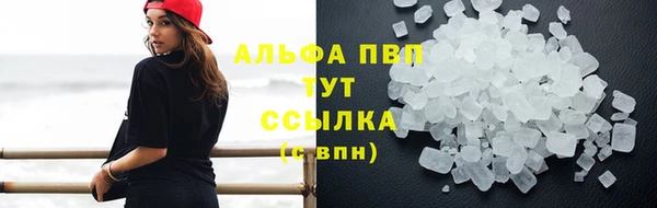 прущий лед Карпинск