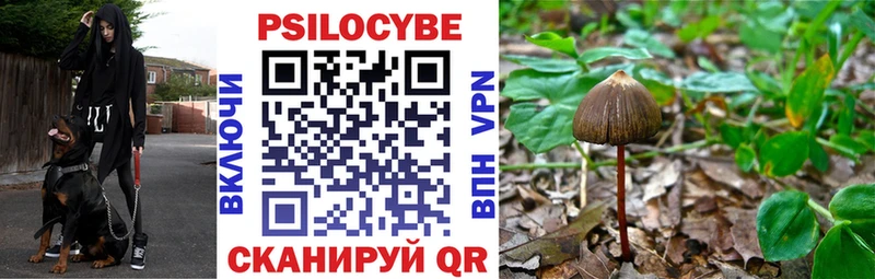 Купить закладки  Егорьевск  Галлюциногенные грибы MAGIC MUSHROOMS 